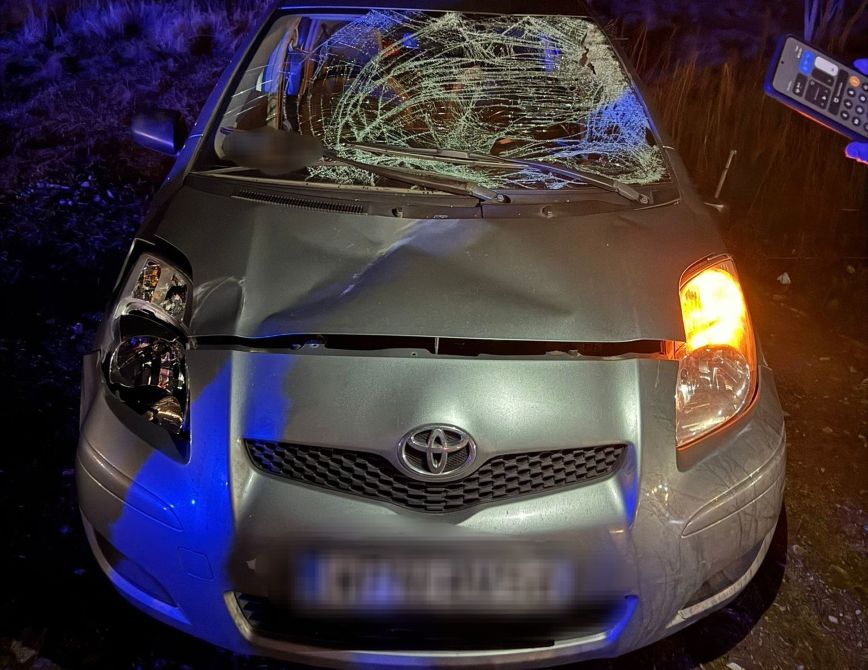 Wypadek na drodze krajowej nr 50. Dwa auta i łoś